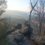 images/wanderungen/2019-01_wanderung_kl.zschirnstein/DSC_0707.jpg