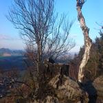 images/wanderungen/2019-01_wanderung_kl.zschirnstein/DSC_0713.jpg