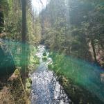 images/wanderungen/2019-04_wanderung_prebischtor/DSC_0833.jpg