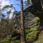 images/wanderungen/2019-08_wanderung_hickelmuehle/IMG_7604.jpg