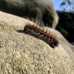 images/wanderungen/2019-09_ruebezahlstiege_lehnsteig/04.jpg