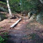 images/wanderungen/2019-09_ruebezahlstiege_lehnsteig/10.jpg